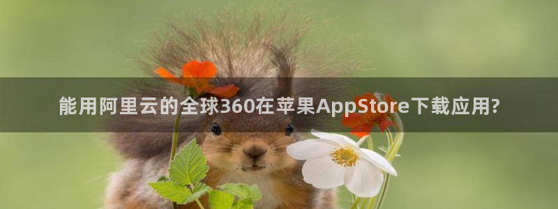 赢彩网体育平台开号链接：能用阿里云的全球360在苹果AppStore下载应用?