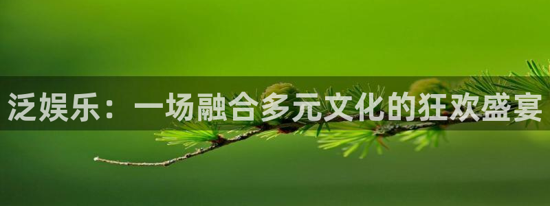 上海赢彩网汽车电子有限公司：泛娱乐：一场融合多元文化的狂欢盛宴