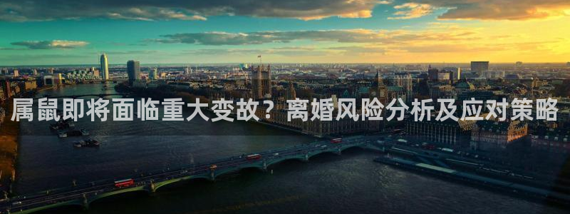 赢彩网2登录地址：属鼠即将面临重大变故？离婚风险分析及应对策略