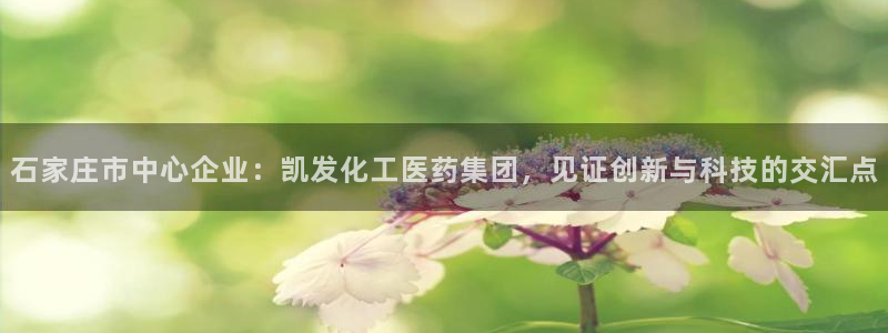 赢彩网2登录：石家庄市中心企业：凯发化工医药集团，见证创新与科技的交汇点