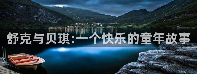 赢彩网股份：舒克与贝琪:一个快乐的童年故事