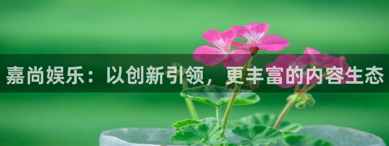 赢彩网体育平台登录入口：嘉尚娱乐：以创新引领，更丰富的内容生态