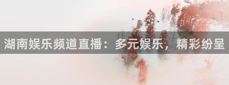 赢彩网集团总部：湖南娱乐频道直播：多元娱乐，精彩纷呈