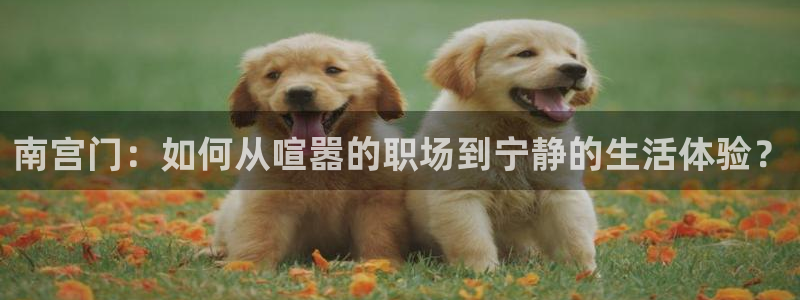 赢彩网2注册：南宫门：如何从喧嚣的职场到宁静的生活体验？