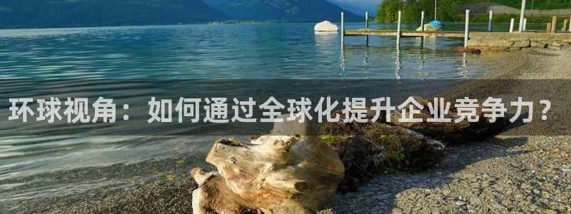 赢彩网登录界面入口：环球视角：如何通过全球化提升企业竞争力？