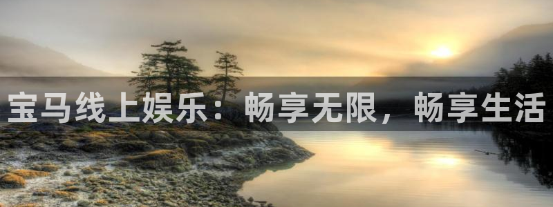 赢彩网体育平台开号链接：宝马线上娱乐：畅享无限，畅享生活