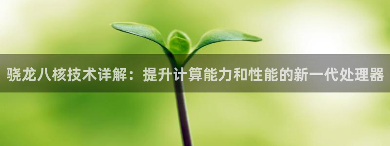 赢彩网体育合法嘛：骁龙八核技术详解：提升计算能力和性能的新一代处理器