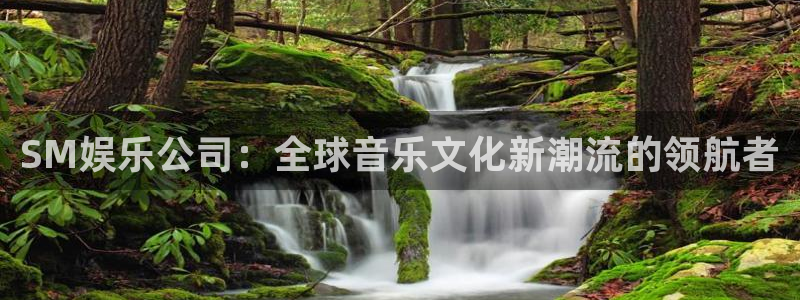 赢彩网平台开户链接：SM娱乐公司：全球音乐文化新潮流的领航者