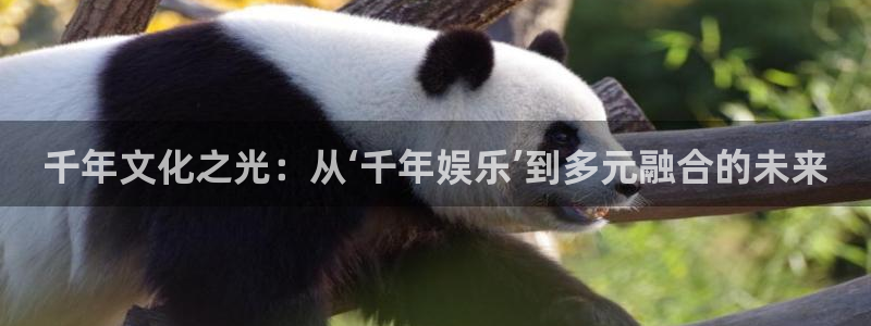 赢彩网电子有限公司：千年文化之光：从‘千年娱乐’到多元融合的未来