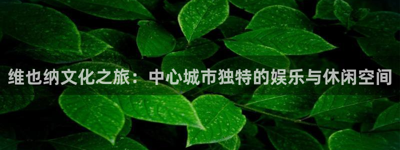 赢彩网vk：维也纳文化之旅：中心城市独特的娱乐与休闲空间