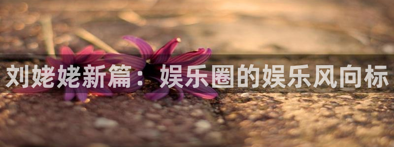 赢彩网主管：刘姥姥新篇：娱乐圈的娱乐风向标