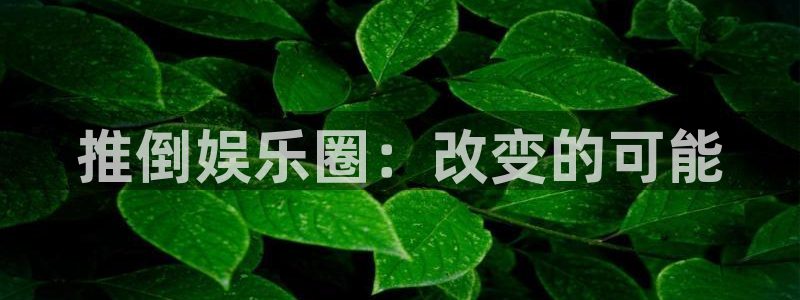 赢彩网体育平台总代理：推倒娱乐圈：改变的可能