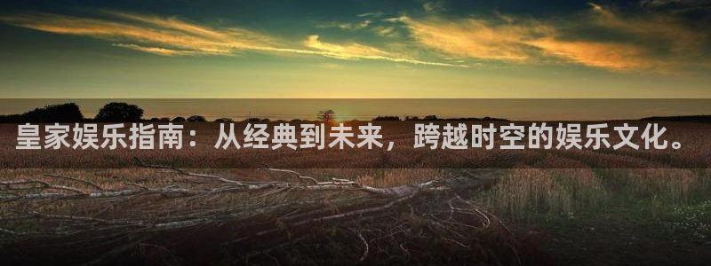 赢彩网2登录：皇家娱乐指南：从经典到未来，跨越时空的娱乐文化。
