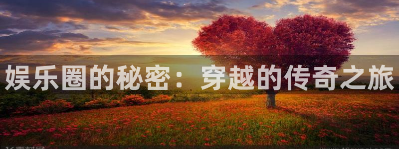 赢彩网招商：娱乐圈的秘密：穿越的传奇之旅