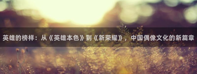 赢彩网体育娱乐注册链接：英雄的榜样：从《英雄本色》到《新荣耀》，中国偶像文化的新