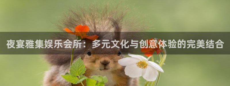 赢彩网体育凯捷平台注册：夜宴雅集娱乐会所：多元文化与创意体验的完美结合
