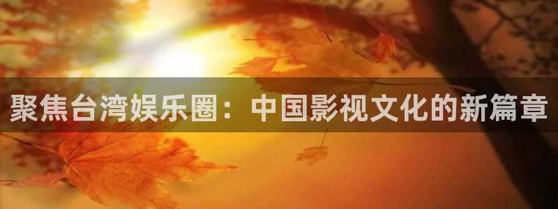 上海赢彩网汽车电子有限公司：聚焦台湾娱乐圈：中国影视文化的新篇章