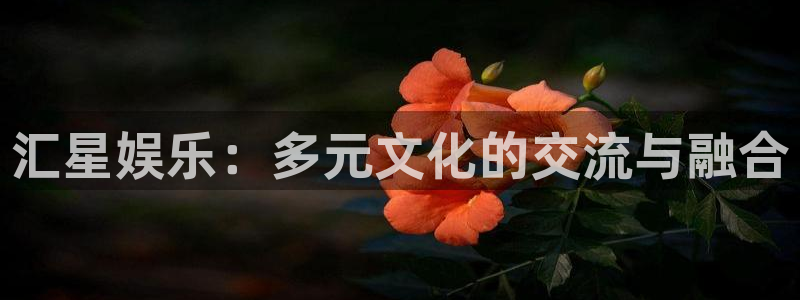 赢彩网体育2：汇星娱乐：多元文化的交流与融合