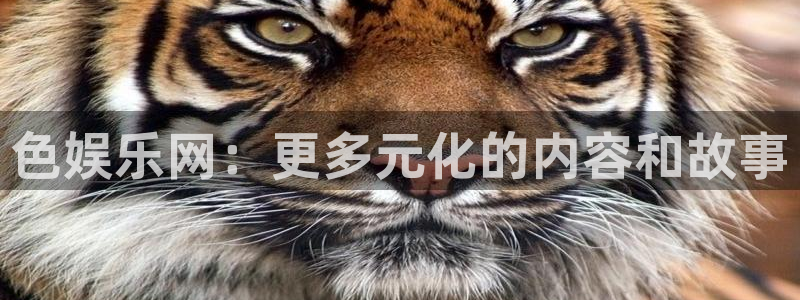 赢彩网5招商：色娱乐网：更多元化的内容和故事